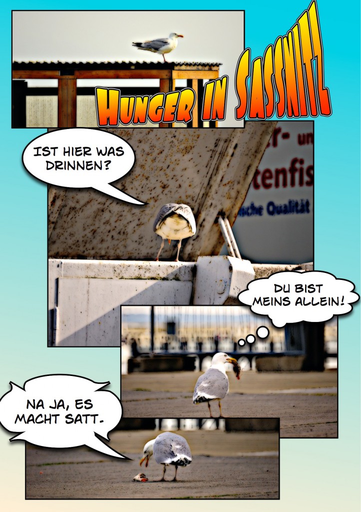 Hunger in Sassnitz